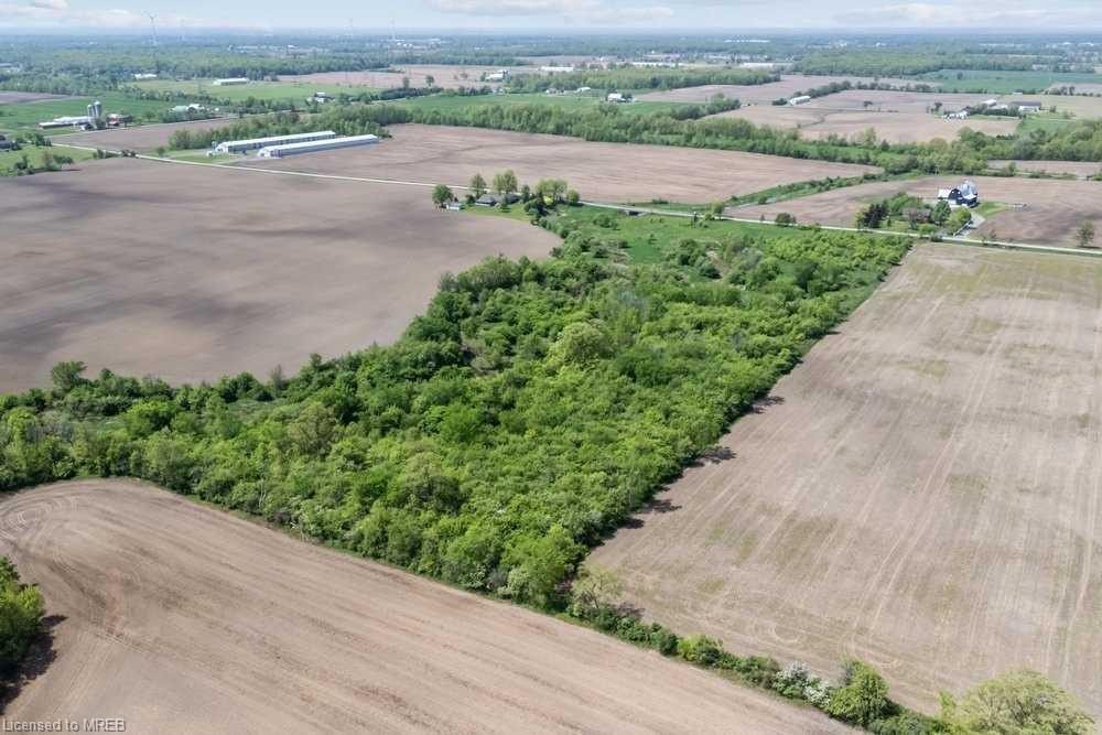An aerial view of a field with trees in the middle.