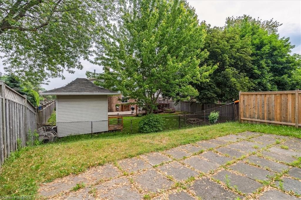 A backyard with trees and grass in the middle of it.