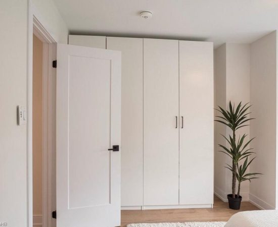 A white closet with two doors and a plant in the corner.