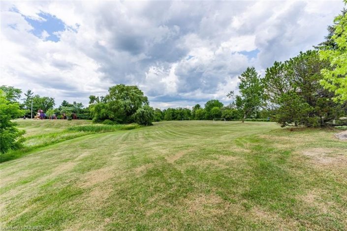 A field with trees and grass in the background