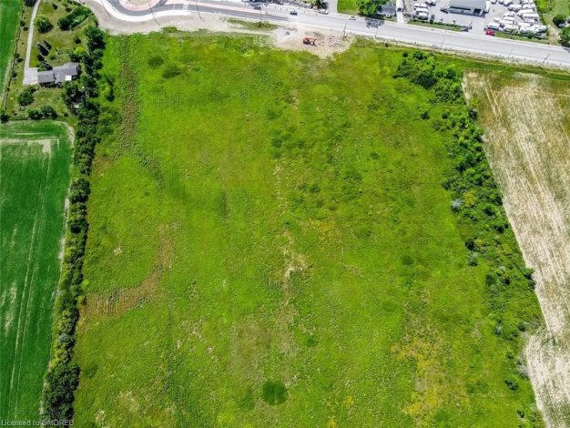 An aerial view of a green field with trees.