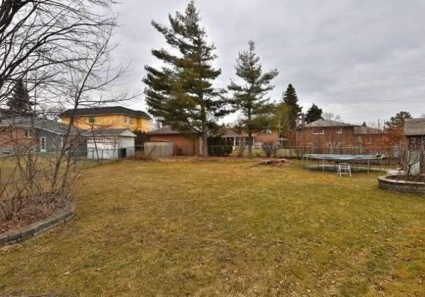 A large yard with trees and benches in the middle of it.