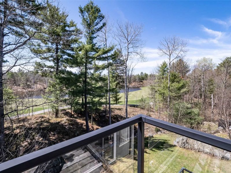 A view of trees from the top of a balcony.